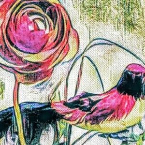 Meet your Posher, Anna